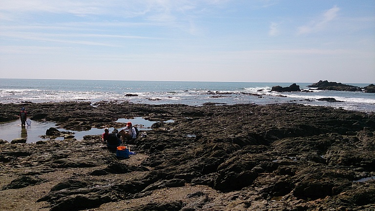 f0067354_6121059.jpg