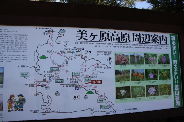 f0160554_2132692.jpg