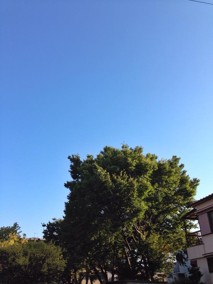 e0142357_21272521.jpg