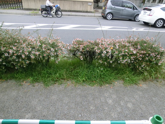 b0008064_1853765.jpg