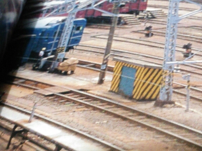 f0131165_2345862.jpg