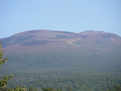 c0325468_20230530.jpg
