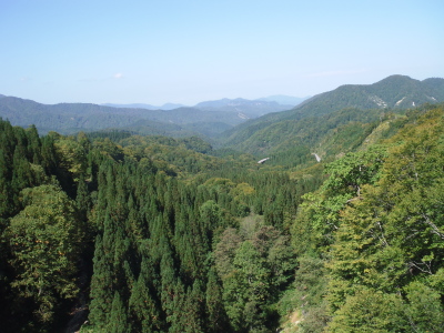 c0325468_20240540.jpg