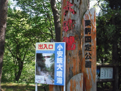 c0325468_20245070.jpg