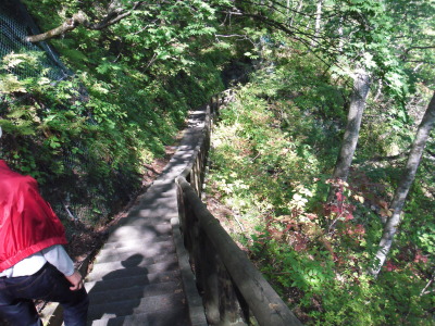 c0325468_20250005.jpg