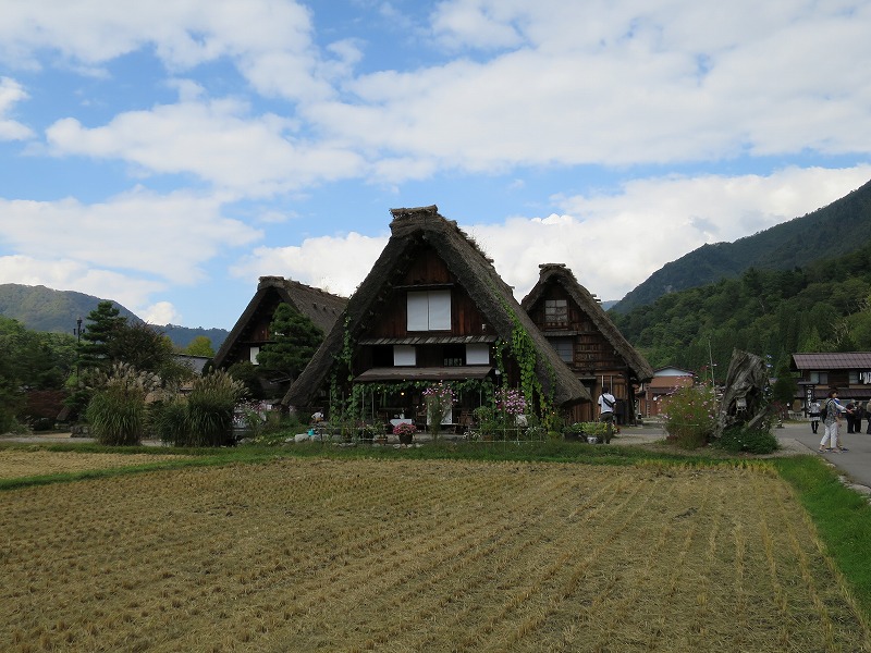 a0016171_23541519.jpg