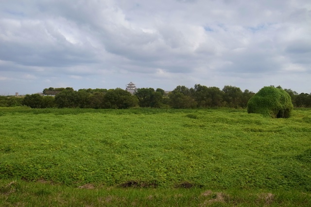 b0247073_13345597.jpg