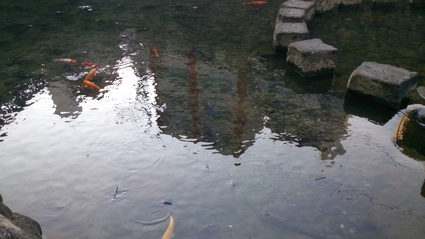 b0159585_982654.jpg