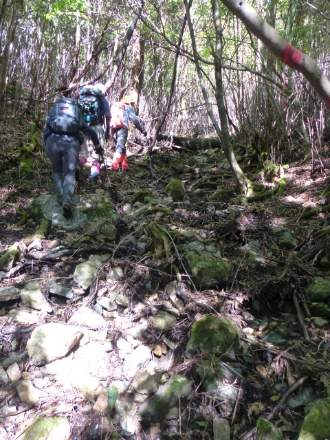 f0357487_044110.jpg