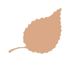 e0143690_722175.jpg