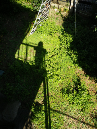 f0239100_20574416.jpg