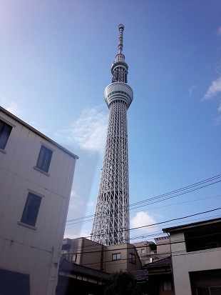 a0156611_811475.jpg