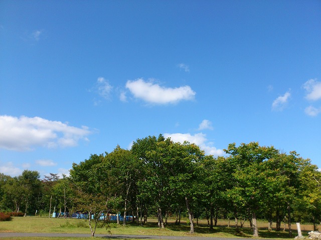 f0100911_22312656.jpg