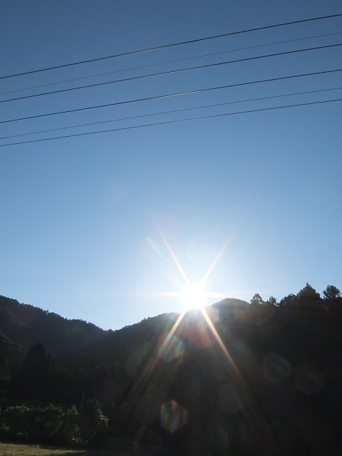 b0309813_18223488.jpg
