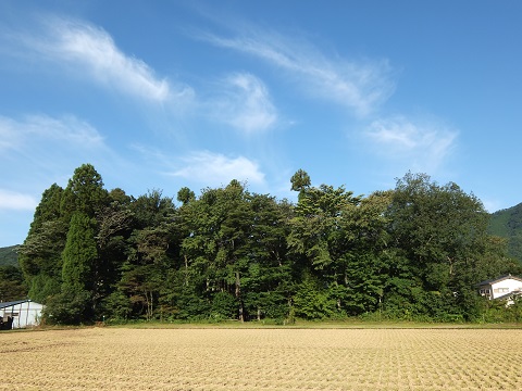 b0309813_18232724.jpg