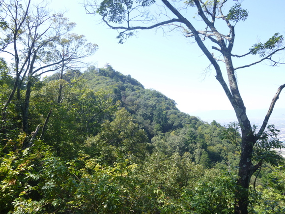 d0170615_19317.jpg