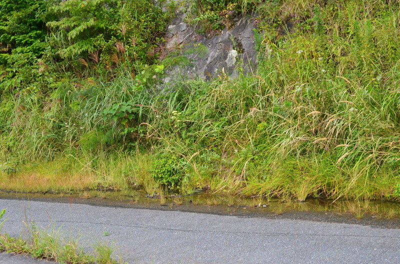 b0338817_16112340.jpg