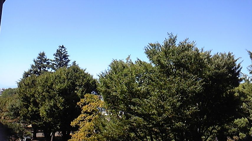 c0038722_11533919.jpg