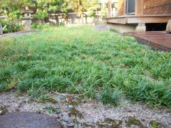 d0041124_7535738.jpg