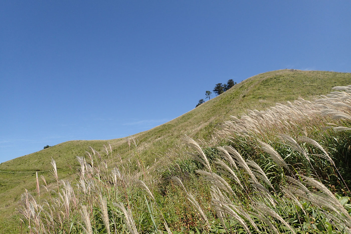 c0064025_1841780.jpg