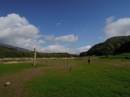 e0147226_20451749.jpg