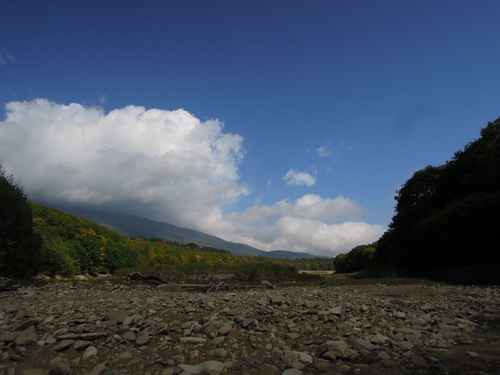 e0147226_20514297.jpg