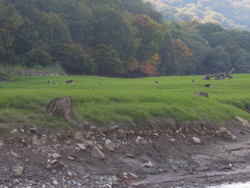 e0147226_2112970.jpg