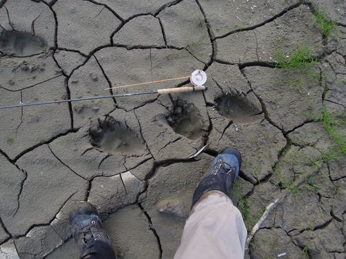 e0147226_2131793.jpg