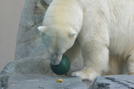 f0344626_00442654.jpg