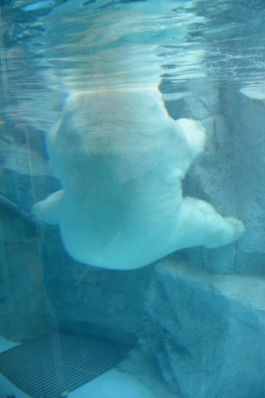 f0344626_00530441.jpg