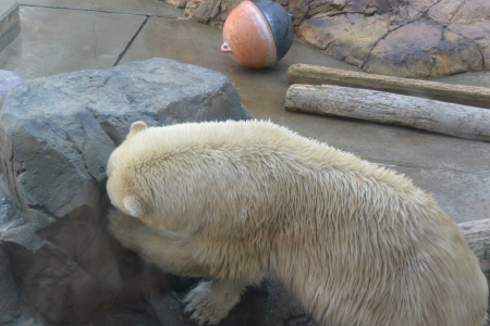 f0344626_01042877.jpg