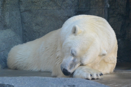f0344626_01072897.jpg