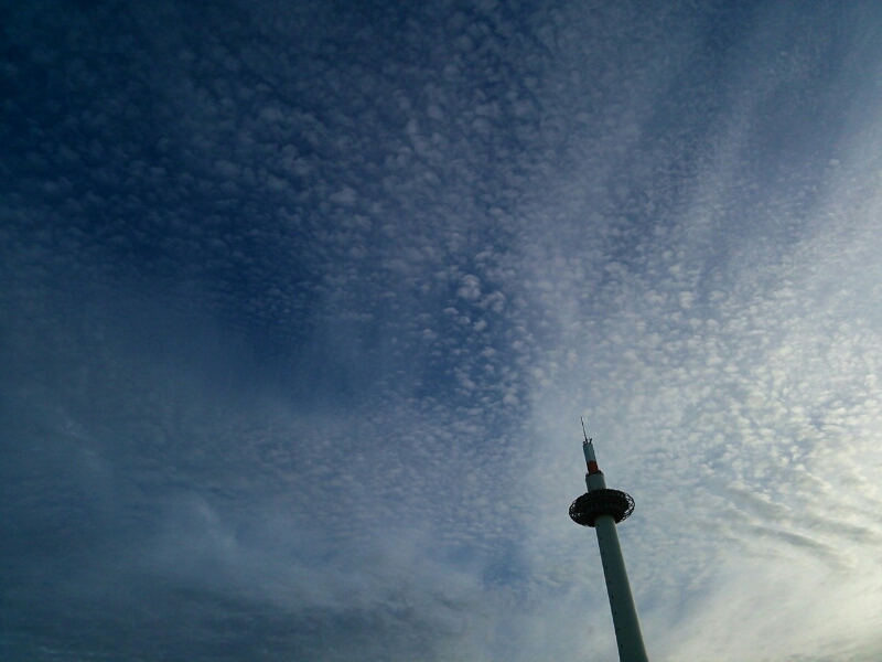 b0080027_0215346.jpg