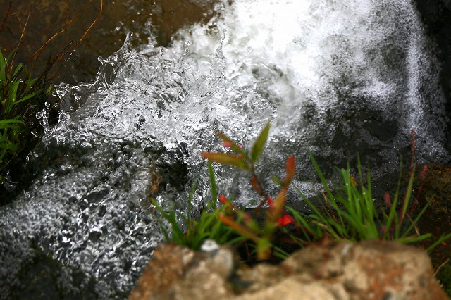 a0242438_18341347.jpg