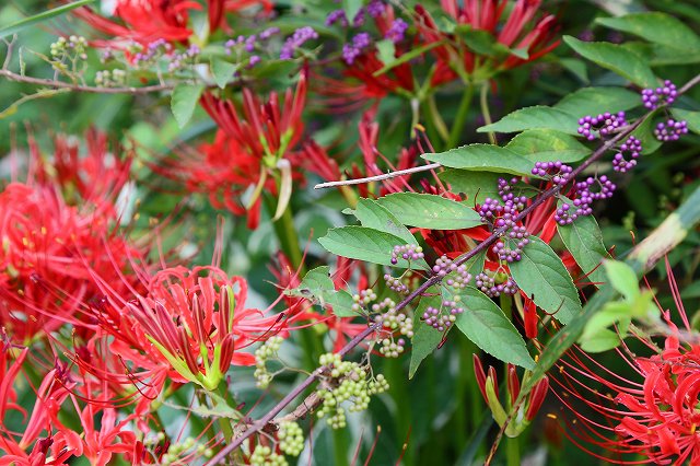 a0242438_18373641.jpg