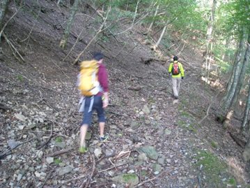 c0077338_6103585.jpg