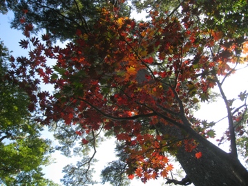 c0077338_612104.jpg