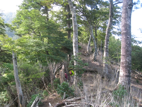 c0077338_6122429.jpg