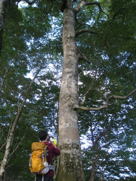 c0077338_612387.jpg