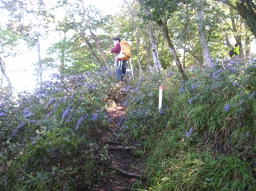 c0077338_6125160.jpg