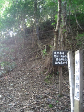 c0077338_612890.jpg
