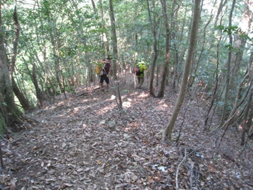 c0077338_6134849.jpg