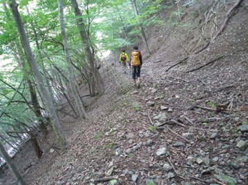 c0077338_614142.jpg