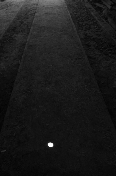 d0165741_1737792.jpg