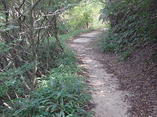 f0334143_20452536.jpg