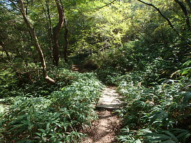 f0334143_20453897.jpg