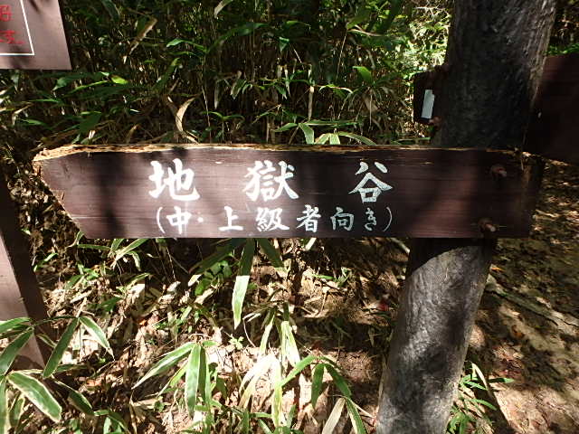 f0334143_2047476.jpg