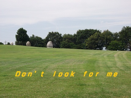 e0248844_22111318.jpg