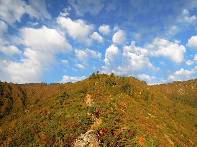 e0329049_1452520.jpg