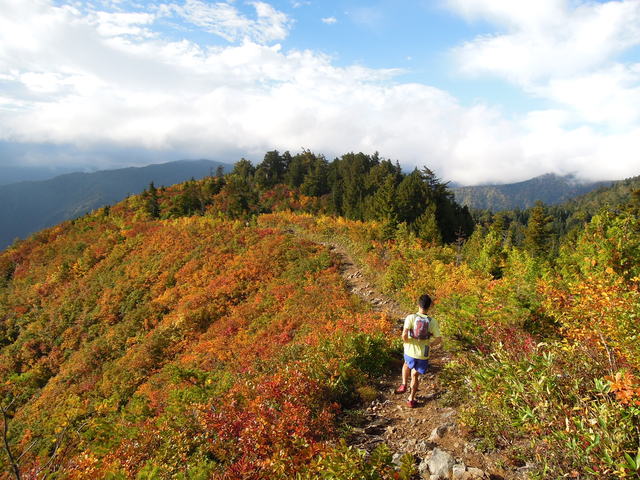 e0329049_1457193.jpg